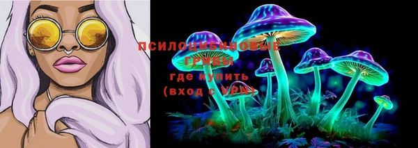 сатива Абаза