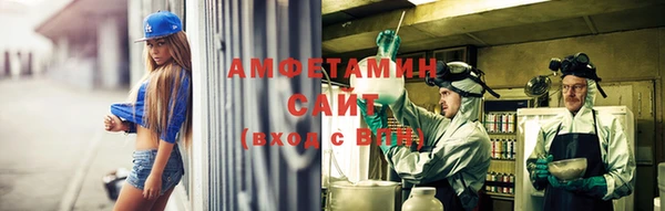 сатива Абаза