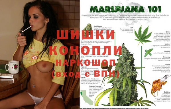 амф Абдулино