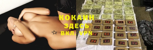 сатива Абаза