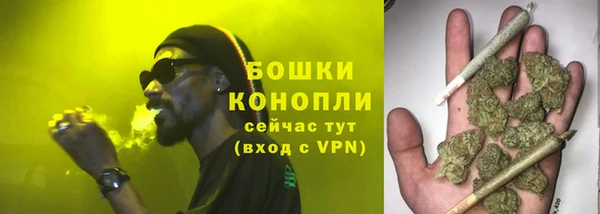 сатива Абаза