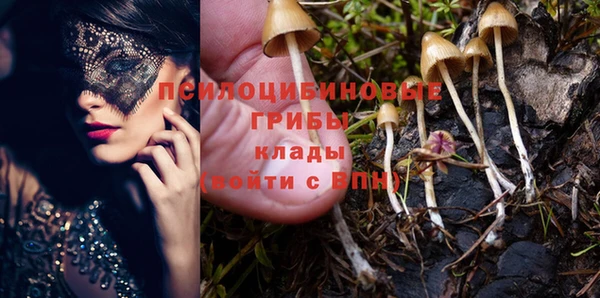 дурь Абинск
