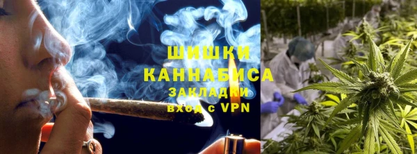сатива Абаза