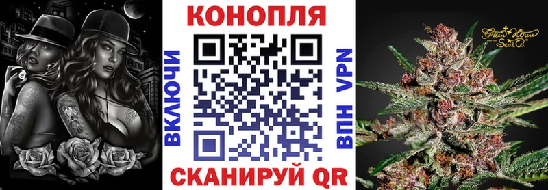 Конопля конопля  Котово 